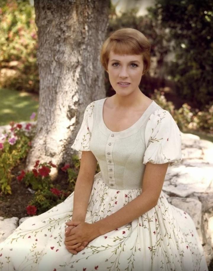 Julie Andrews in The Sound of Music (1965)