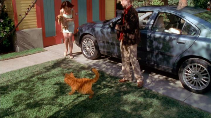 Bill Murray, Jennifer Love Hewitt, and Breckin Meyer in Garfield (2004)