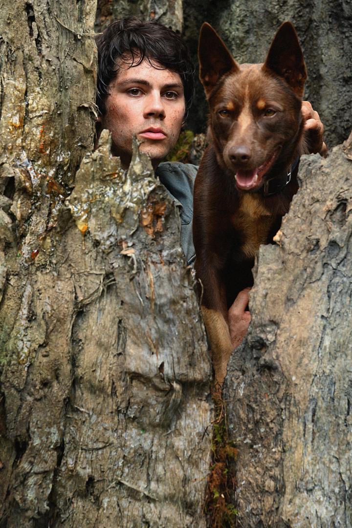 Dodge and Dylan O'Brien in Love and Monsters (2020)