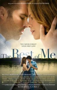 دانلود فیلم The Best of Me 2014 با زیرنویس فارسی چسبیده