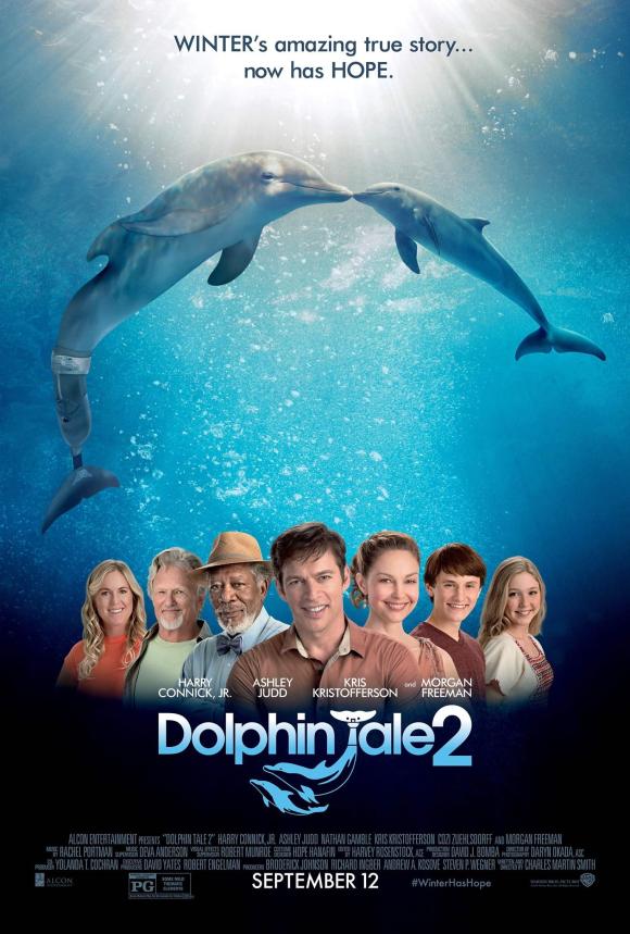 دانلود فیلم Dolphin Tale 2 2014 با زیرنویس فارسی چسبیده