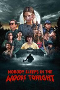 دانلود فیلم Nobody Sleeps in the Woods Tonight 2020 با زیرنویس فارسی چسبیده